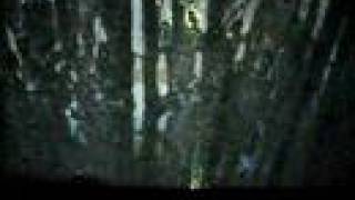 "Say When" by Fair To Midland