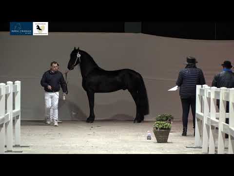 KFPS Eerste Bezichtiging HK2021 dinsdag deel I – 8 december