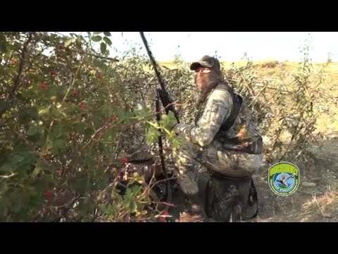 Индийские фильмы 2015-2016 смотреть онлайн в hd качестве