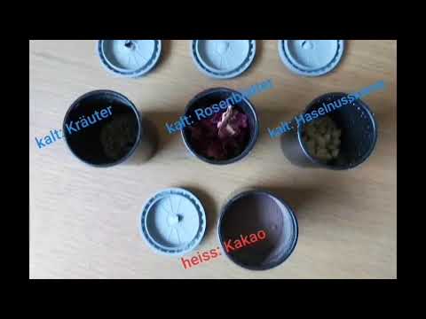 Geruchs-Diskriminierung mit Ratten