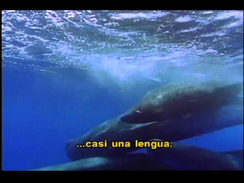 Promo: jueves 16 julio 21:00 Ciencia y tecnología