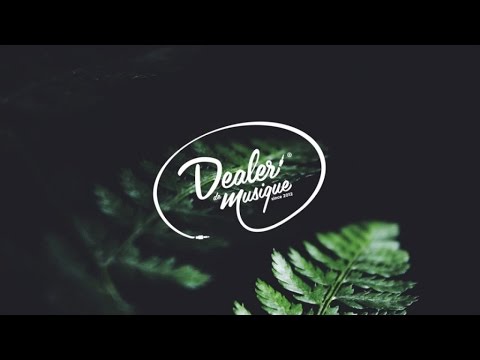 The Tapes - You Know It's Real