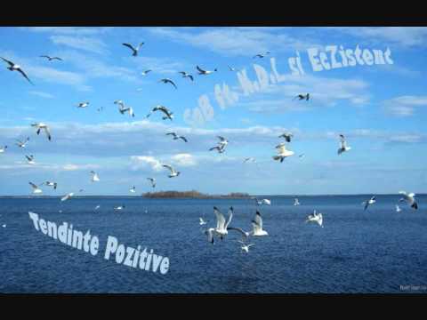 SoB ft. N.D.L si EcZistent -  Tendinte Pozitive