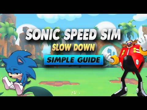 Sonic Speed Simulator How To Slow Down - Simple Guide
