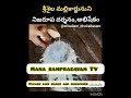 Srisaila Mallikarjuna Swami Abhishekam