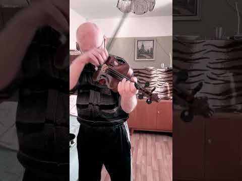 Lásko mně ubývá sil - smyčec po výměně žabky - prasklá struna A opravena uzlíkem ????- housle - samouk