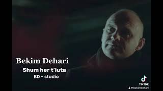 Bekim Dehari - Shum Her Të Luta