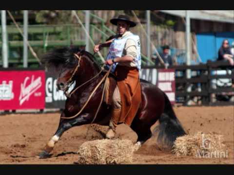 Cavalo Crioulo - Luiz Carlos Borges & Mauro Ferreira