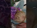 Luxy is gek op Luan ?❤️ #short #shorts