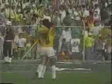 CUMBIA LEOPARDA VILLERA(version original)TIENDA LEOPARDA VOL.3 -ATLETICO BUCARAMANGA