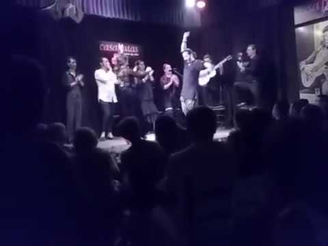 Kunal Om Flamenco India | Tablao Casa Patas. Madrid |  Flamenco Fin De Fiesta Bulerias