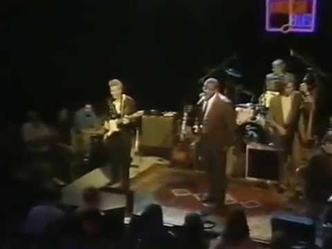 Sam Myers/Anson Funderburgh - Changing Neighborhoods