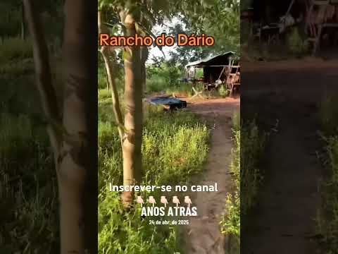 Rancho do senhor Dário na beira do rio Araguaia em Aruanã #shorts #shortvideos #onça