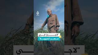 فلسطيني لاجئ في مصر: 