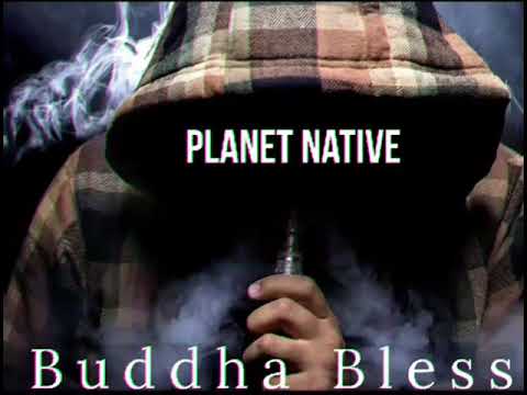 Buddha Bless -  Planet Native (Suki x Yansa-Q x Stud Cruiser)