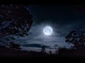 Depeche Mode - But Not Tonight (lyrics)