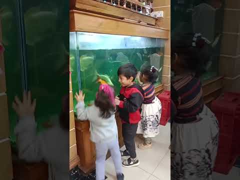 Insiya very happy to see the fish  #happy #moments#real #viralvideo #cutebaby
