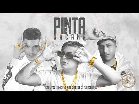 Miniatura de Pinta Bacana