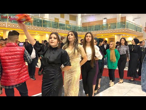 ŞEVKO 2024 HALAY - YILIN EN İYİ OYUN HAVASI HAREKETLİ - Piyanist Şivanın Nişanı