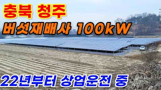 [충북 청주] 버섯재배사 100kW 3구좌 | 22년부터 상업운전 중