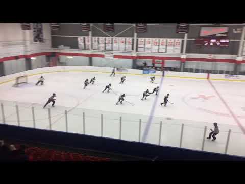 Alexandria Glens (CAN) vs Kiekko Tiikerit Helsinki (livestream)