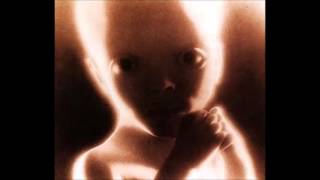 Klaus Schulze  -  Alpha Numerique