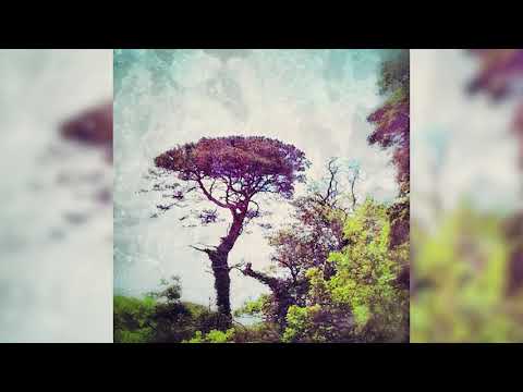 Jack Kornfield – Ep. 47 – Nobility and Love