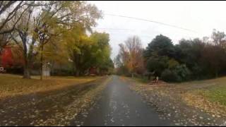 preview picture of video '2012 Chico Fall Drive'