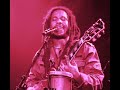 Stephen Marley - African Herbsman