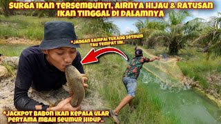 Download lagu BERBURU IKAN AIR HIJAU DI DESA TERPENCIL JACKPOT GABUS BABON mp3