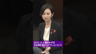 【参政党 梅村みずほ】不法滞在者ゼロプランについて 2025.12.4 厚生労働委員会