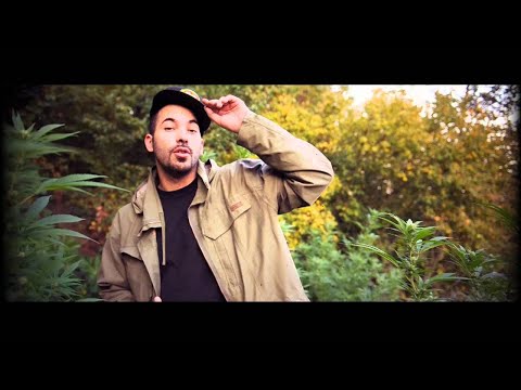 Taipan - Crame 1 Gramme  (Clip Officiel)