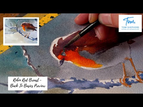 Robin Red Breast - Back To Basics - Preview with Tom Shepherd School of Watercolour