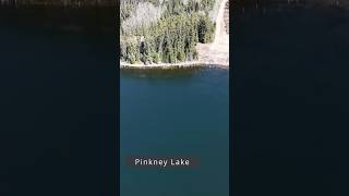 Pinkney Reel