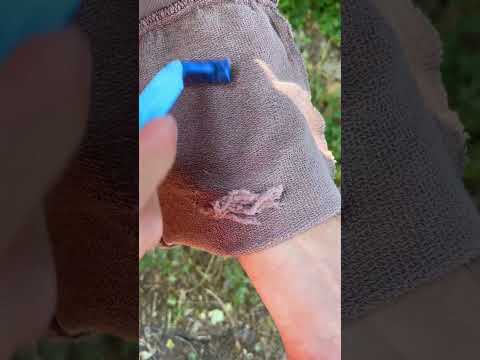 Don't Know How To Start A Fire In The Forest - A PROVEN LIFE HACK #lifehacks