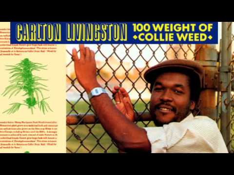 Calton Livingston. 100 weight of collie weed 12" version