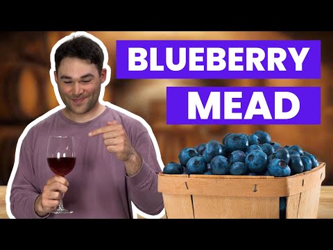 HOW TO MAKE BLUEBERRY MEAD