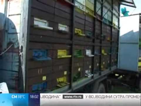 Meda nema ni za domaće tržište