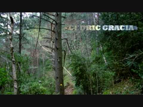 Cedric Gracia PURE DOWNHILL ///