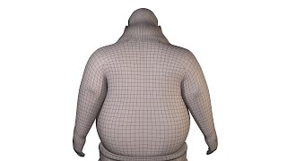 Elastic Implicit Skinning (SIGGRAPH ASIA 2014)