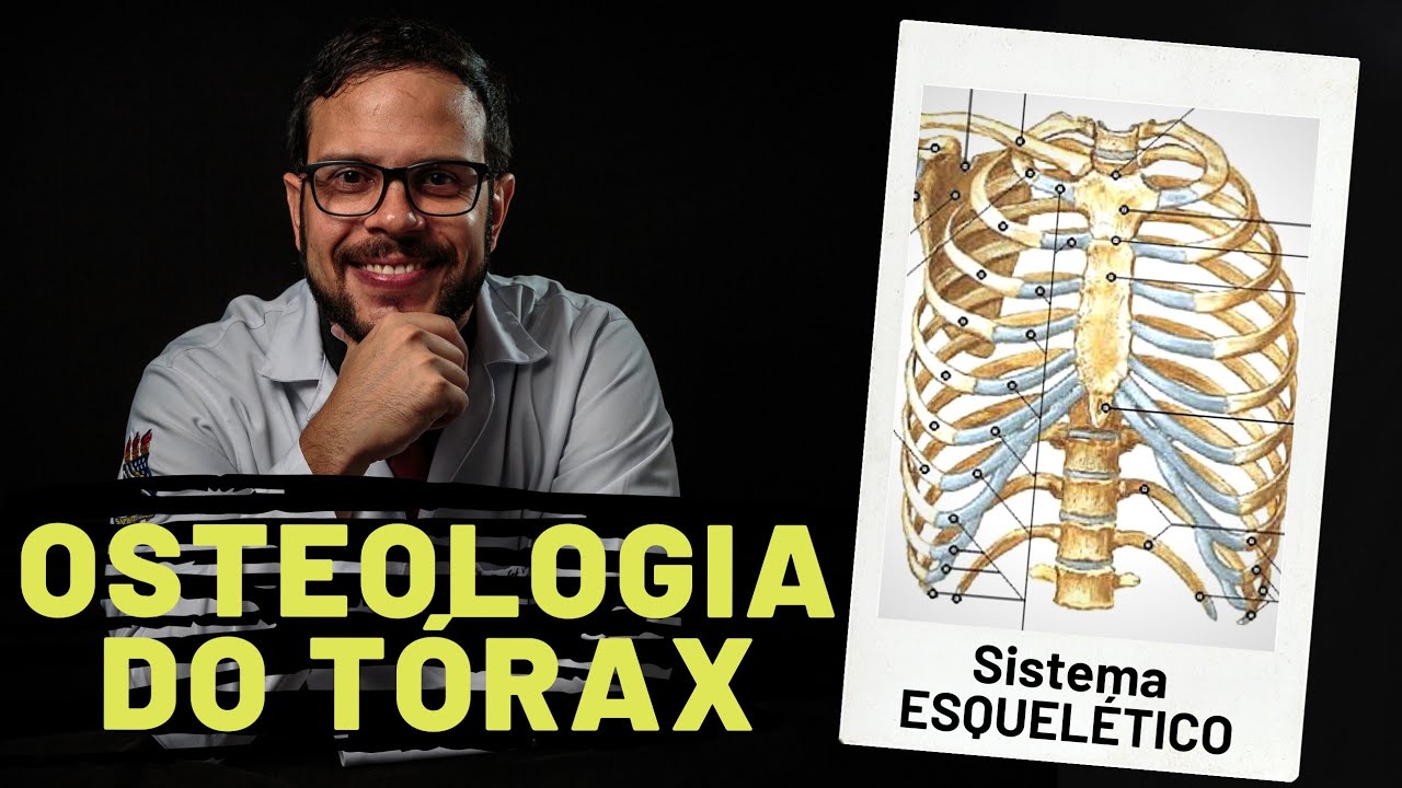 SISTEMA ESQUELÉTICO: OSTEOLOGIA DO TÓRAX - AULA PRÁTICA COM PROF. ANDRÉ OLIVEIRA