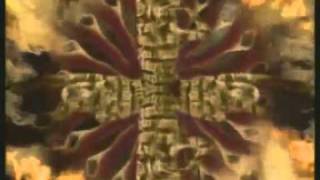 Enigma - The voice of snake knocking on forbidden doors