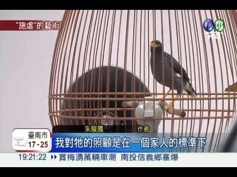 8喇叭輪番轟炸 藝術變虐鳥?!