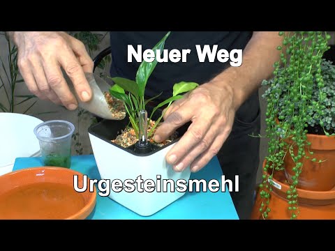 , title : 'Pflanzen Pflege im Zimmer Garten Mega Vorstellung in der Praxis mit Urgesteinsmehl auch in der Erde'