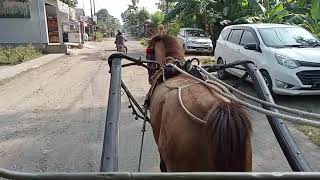 Download lagu Suara Kuda Delman || Naik Kuda Delman Kendaraan Tradisional Masih Beroperasi di Kecamatan Bulakamba mp3