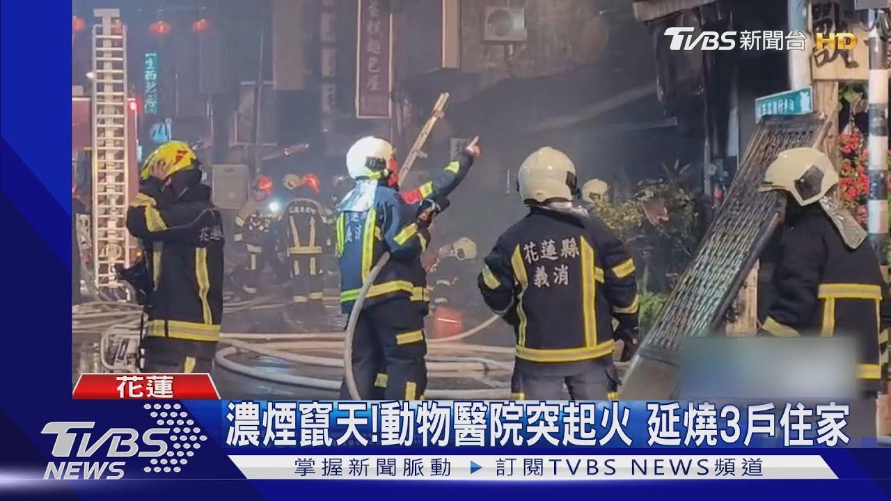烈火燒動物醫院! 6狗貓來不及救成焦屍