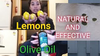 Download lagu Mix lemon juice and olive oil for amazing health Benefits mp3 Download lagu Mix lemon juice and olive oil for amazing health Benefits mp3