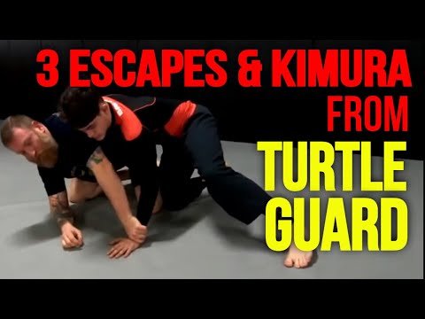 Turtle Position Jiu Jitsu Instructionals – Attacks, Breakdowns, and ...