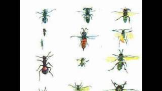 Syd Barrett - Waving my arms in the air (1993)