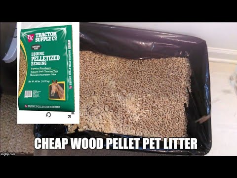 Cheap Cat Kitten Litter Using Pine Pellets Equine Bedding Wood Stove Environmental Friendly Compost.